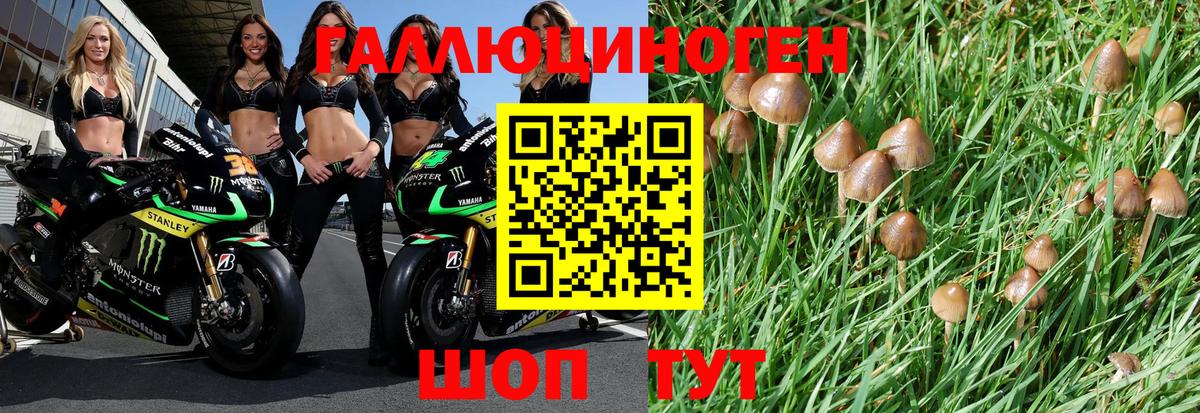Меф кристаллы  Гашиш  Марихуана  Вход с VPN  Малоярославец  Купить наркотик  Alpha PVP СК  